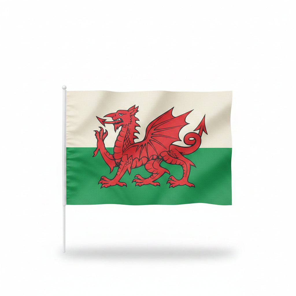 Wales Handheld Flag - Q9 Sport World Cup Accessories